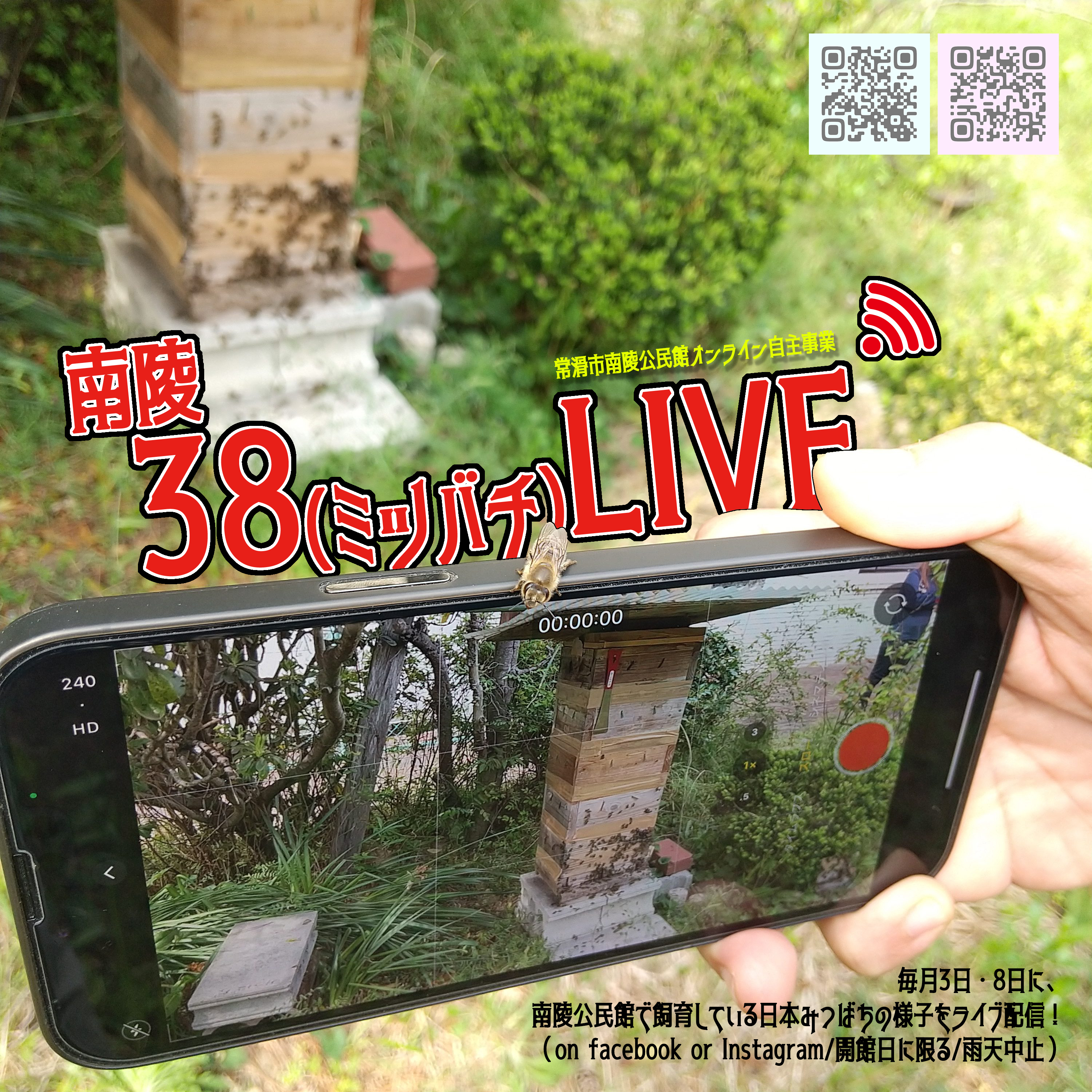 南陵「３・８(ミツバチ)LIVE」配信のイメージ
