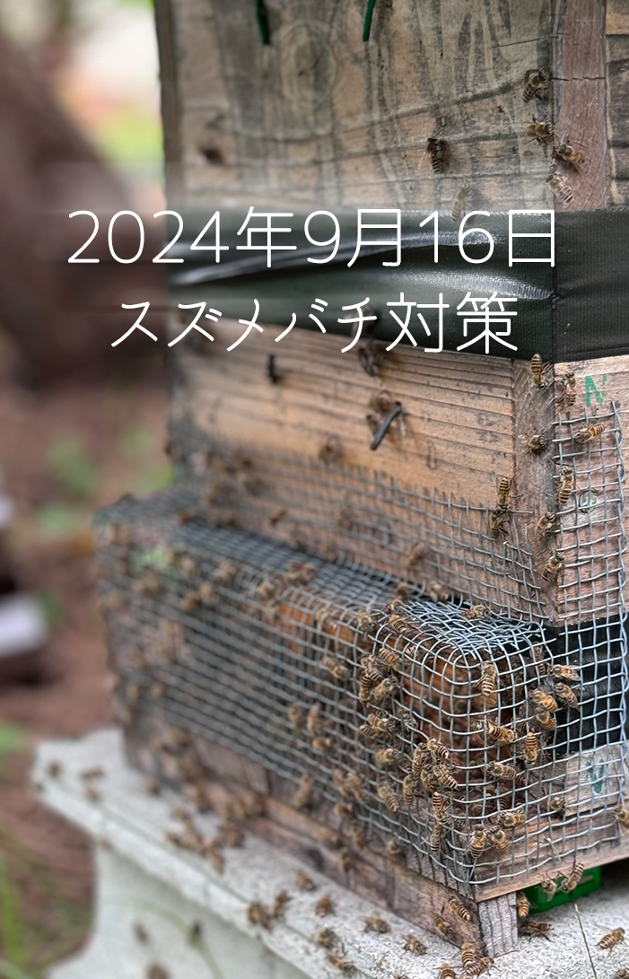 南陵ミツバチ］スズメバチ対策をしました！ | オンライン自主事業